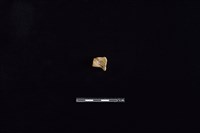 陶把藏品圖，第2張